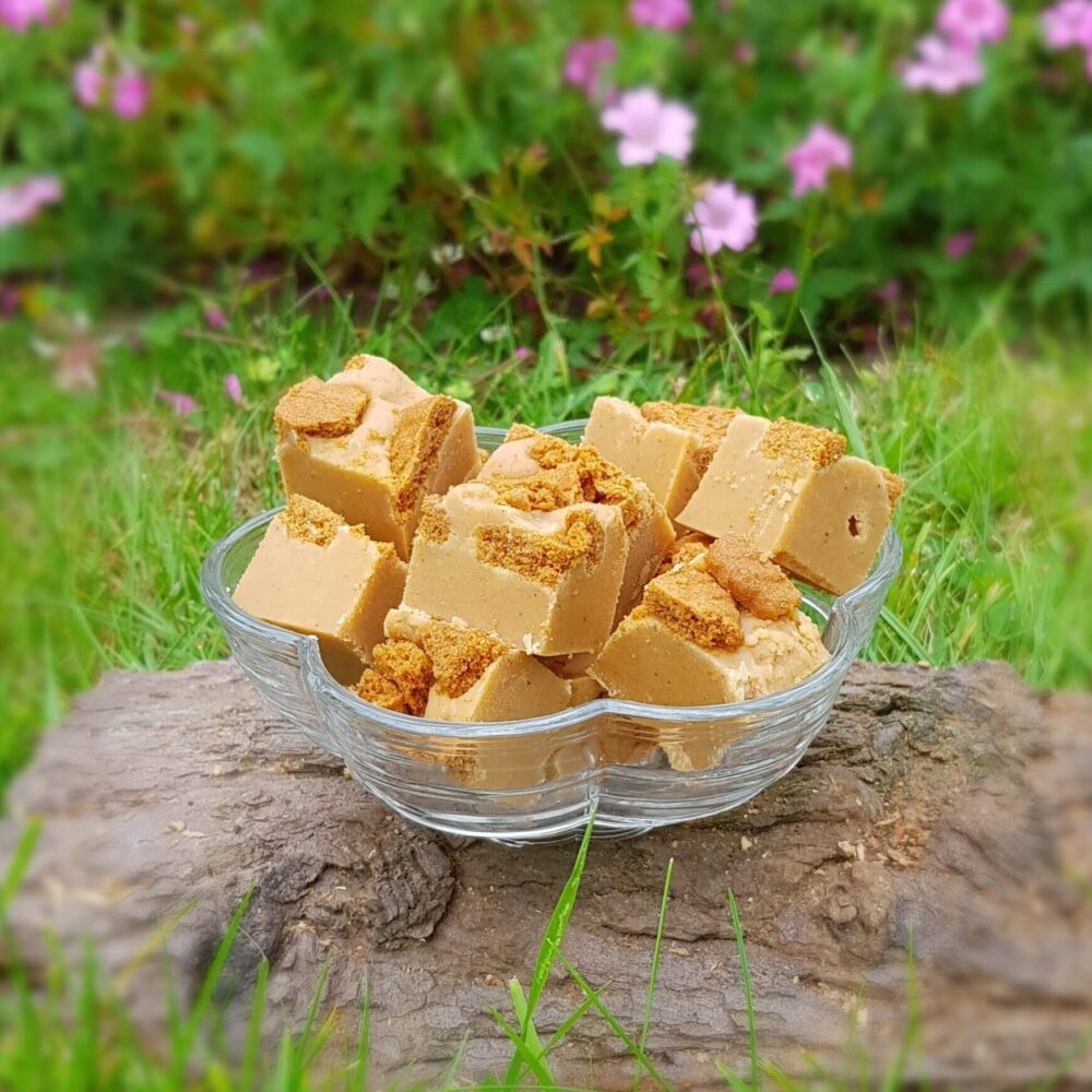 Spiced Biscoff Fudge
